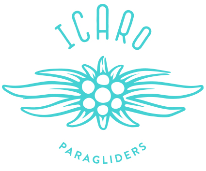 ICARO_Logo2015_blue