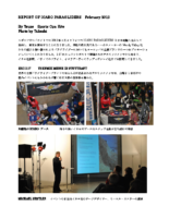 ICARO REPORT 2012.2