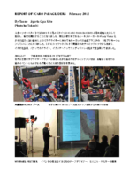 ICARO REPORT 2012.2Pdf