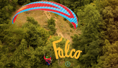 FALCO（ファルコ）登場！