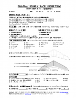 Wills Wing SPORT3 RACE オーダーフォーム 2018