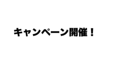 ICARO タンデムハーネスキャンペーン！